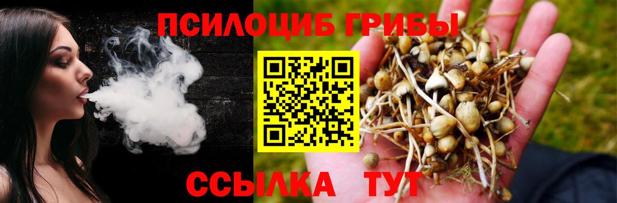 Псилоцибиновые грибы GOLDEN TEACHER Черкесск